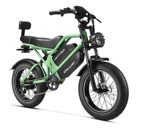 Bicicleta Eléctrica de Carga Rápida HappyRun G70 2000W con Doble Batería, Nueva, OEM, Industrial, para Bricolaje, en Venta - Product Image 2