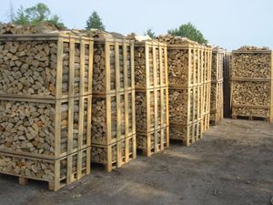 Bûches de bois de frêne à vendre - Bois de chauffage de qualité supérieure pour usage domestique et industriel - Product Image 2