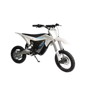 Auténtico 2025 New R.T.R Electrics Mini Dirt-Bikes con motor sin escobillas 48V/60V Motor refrigerado por aire motocicletas a la venta en stock - Product Image 6