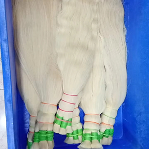 Pour Genius Weft Blonde Indian Raw Temple Bundles Super Soyeux Extensions de Cheveux Longs Blanchis Tissage Cheveux Fourniture En Vrac - Product Image 1