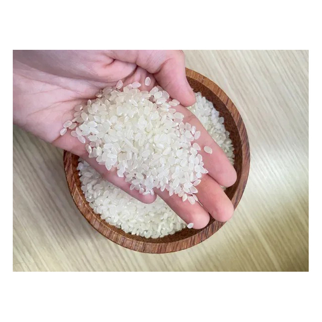 Direct Factory Sale Bulk Medium Japonica Rice Konjac Rice Polished Original Germany 2 Year Shelf Life Long Short Patterns
