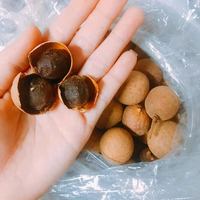 LONGAN SÉCHÉ POUR LE THÉ EN GROS | FRUITS SÉCHÉS DE HAUTE QUALITÉ DU VIETNAM