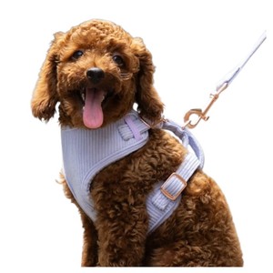 Arnés Ajustable de Algodón para Perro, Color Lavanda Sólido, Cierre de Hebilla, Estilo Simple, Tipo Rower, para Perros Pequeños - Product Image 6