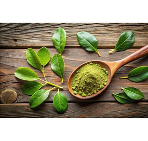 Extracto de Hoja de Gurmar en Polvo, Calidad Premium, Puro y Natural, Grado Alimenticio, 25 KG, Suministro al por Mayor, Precio Competitivo - Product Image 5