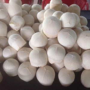 Bebida de agua de coco joven OEM de Vietnam, bebida fresca, dulce y saludable para venta al por mayor y marcas-Caryln 0084935825297 - Product Image 5