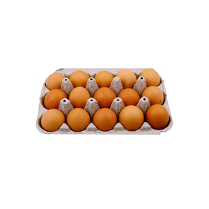ขายส่งไข่ไก่สีน้ำตาล ราคาถูกน่าสนใจ เหมาะสำหรับการจัดหาสินค้าทั่วโลก - Product Image 2