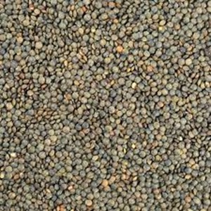 Lentilles vertes canadiennes séchées de première qualité au prix de la ferme - Product Image 2