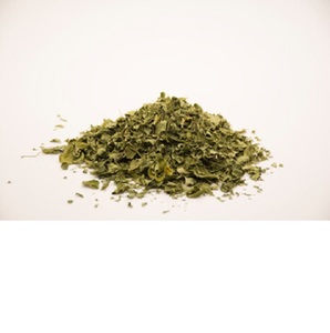 Best-seller Extrait de plantes de feuilles séchées de Moringa sauvage disponible au prix de gros pour les commandes en gros - Product Image 1
