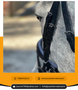 Remaches plegables, - Product Image 2