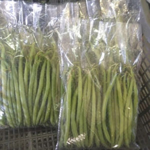 ถั่วเขียวสด ผลผลิตใหม่ในอียิปต์ ราคาถูก - Product Image 3