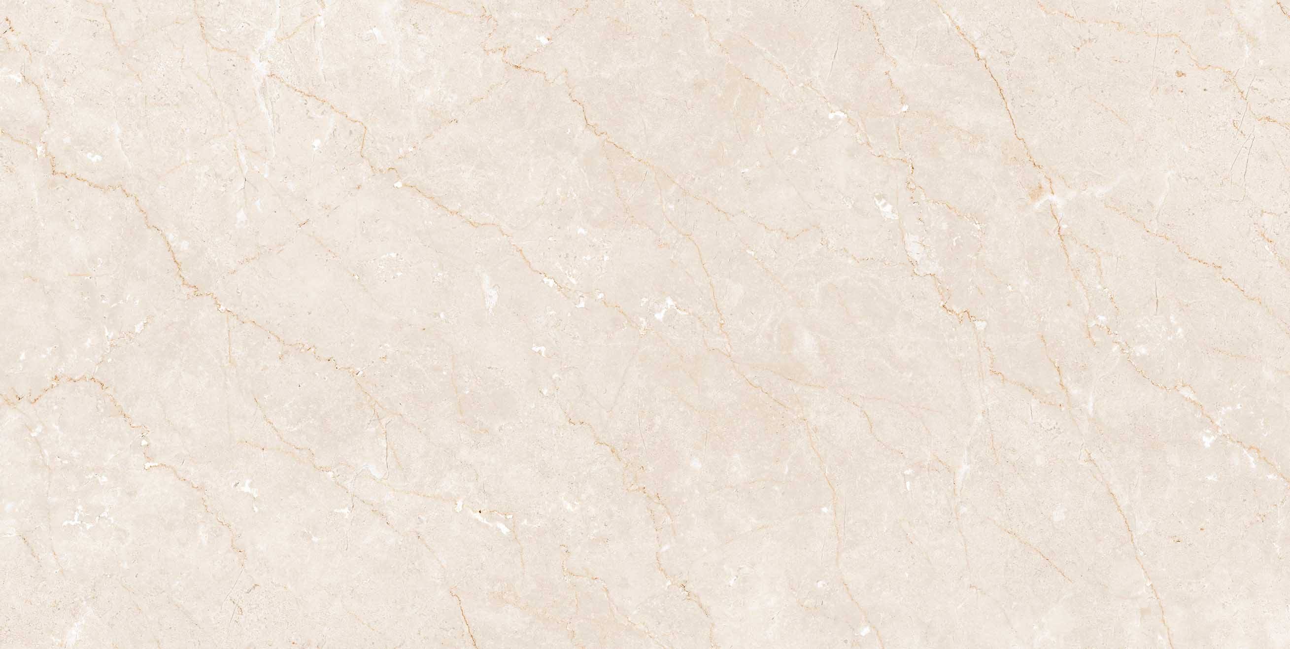 สีเทาอ่อน