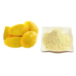 Poudre de jacquier de la plus haute qualité du Vietnam poudre de jacquier en gros meilleur prix poudre de jacquier - Product Image 2