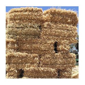 Fardos de alfalfa (heno de alfalfa), fardos de heno de Timothy, heno de avena - Product Image 6