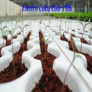 Quantité en vrac de fibre de Coco et de fibre de Coco de la marque écologique - Product Image 6