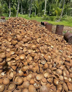 Cáscara de Coco Cruda Premium de Calidad Limpia para Productores Artesanales y Fabricantes de Briquetas de Carbón Vegetal a Granel - Product Image 2