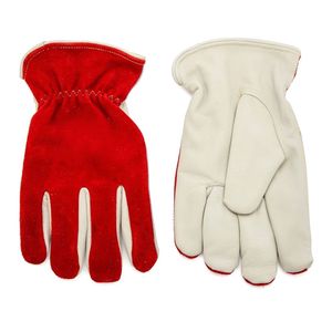 Gants de travail en cuir de haute qualité Gants d'entraînement confortables de protection bon marché pour hommes Sécurité pour la construction - Product Image 1