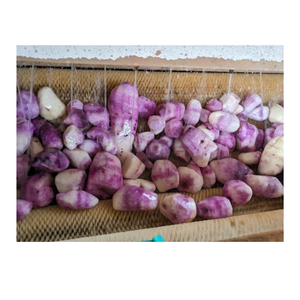 Ñame morado congelado de Vietnam, cultivado naturalmente y congelado rápidamente, perfecto para servicio de alimentos, procesamiento o consumo directo - Product Image 5