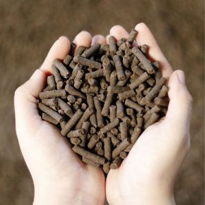 Fertilizante Orgánico de Alta Calidad NPK con Algas Marinas + Guano de Murciélago para Árboles Frutales, Vegetales y Cultivos - Product Image 2