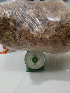 VENTE EN GROS MOUSSE DE MER SÉCHÉE DE QUALITÉ SUPÉRIEURE - Product Image 2