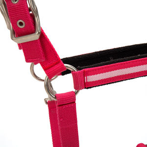 Haute résistance Nylon cheval licou polaire rembourré réglable léger Durable confortable conception équestre équitation tack formation - Product Image 3