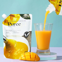 Sac Personnalisable pour Boissons et Jus, Liquides, Emballage Plastique Scellé Verticalement avec Bec Verseur