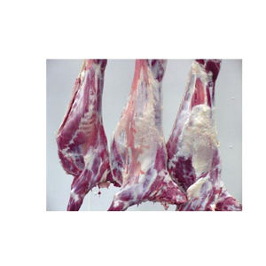 Exportation en gros de carcasses d'agneau entières, fournisseur en gros, carcasses d'agneau congelées de haute pureté pour les chaînes de vente au détail, les acheteurs de la restauration et les commerçants - Product Image 6