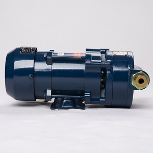 Fill-Rite Diesel Fuel Transfer <b>Pump</b> with <b>Suction</b> Pipe - Product Image 6