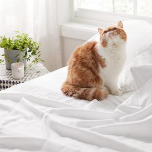 Custom 6 PCS <b>Star</b> Printing Bedding Set Bedspread Printing Duvet Cover Set Quilt Cover With 2 Pillow Shams Comforter Duvet Cover - Product Image 3