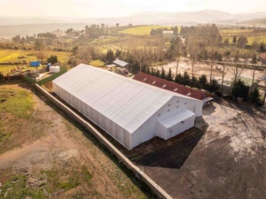 Tente trussed d'équitation de structure métallique de 25x48m pour le cavalier fabriqué en Turquie selon des dimensions de client - Product Image 5