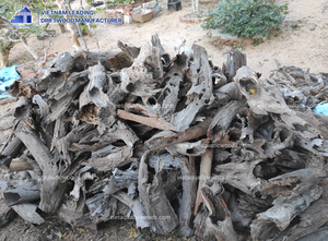 Madera Flotante de Alta Calidad para Acuarios, Venta al por Mayor de un Fabricante Vietnamita - Product Image 6