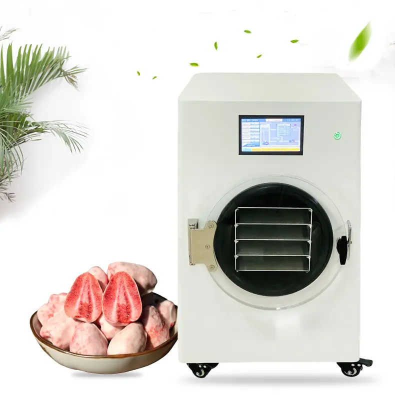 BAXIT MIni Freeze Dryer Secador comercial de alimentos, secador de carne seca, industria de frutas secas, máquina de deshidratación desigual a la venta