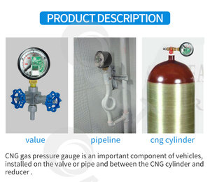 ACT CNG 미니어처 부르동 튜브 압력계 이중 바늘 분사 기화기 시스템 압력 게이지 - Product Image 4