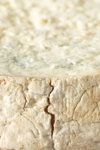 Queso Gorgonzola DOP <span class=keywords><strong>Dolce</strong></span> Italiano, en Forma de Ocho Ruedas, Suave, Azul, Cremoso, Dulce, Queso Tradicional de Lombardía, de Italia - Product Image 4