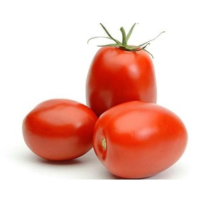 Tomates fraîches de type prune |   Tomates de qualité supérieure pour la vente en gros - Product Image 3