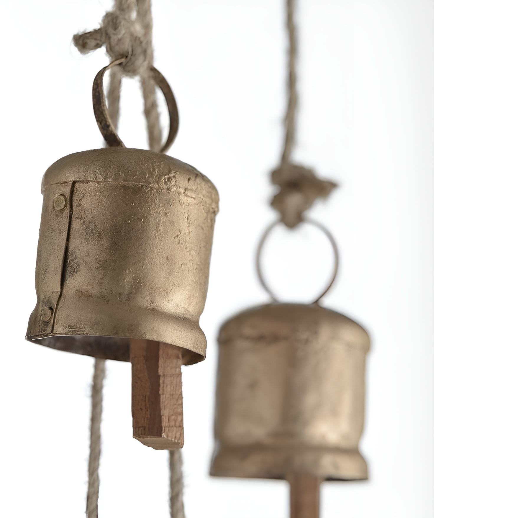 ตามที่แสดง