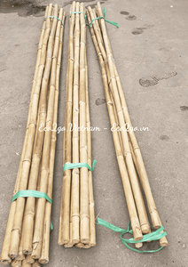 แท่งไม้ไผ่สำหรับปลูกไม้ไผ่แท่งสวนไม้ไผ่แบบ Eco2go - Product Image 3