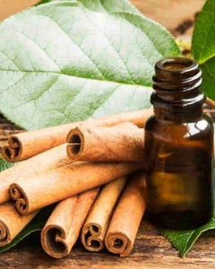 ACEITE ESencial DE CANELA DE CALIDAD DE EXPORTACIÓN DE VIETNAM - Product Image 3