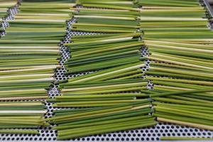 Pailles à boire d'herbe en vrac d'approvisionnement d'usine de 100% herbe vietnamienne au Vietnam pour boire des boissons sainement - Product Image 6