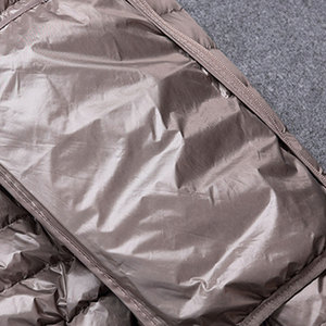 Chaqueta de Invierno Personalizada OEM para Hombre, Chaqueta Acolchada de Lona Bordada, Color Taupe Metálico, Ultraligera, Aislada, Impermeable, con Capucha, para Exteriores - Product Image 5