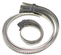 Nouvelle pince de serrage monobrin réglable en acier inoxydable 304 TY-0003 pour raccord de tuyau, modèle 2022