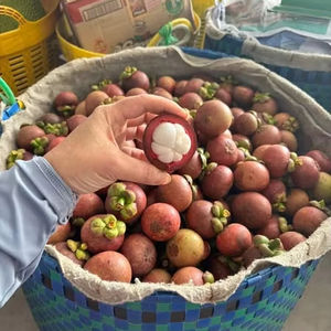 มังคุดสด | ผลไม้ออร์แกนิก100% จากเวียดนาม | ราคาดีที่สุดและคุณภาพสูง - Product Image 1