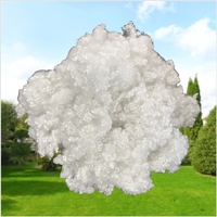 Fibre de polyester HCS siliconée ignifuge recyclée 3D*32mm pour rembourrage de coussins, oreillers, édredons et literie
