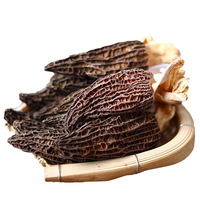 Champignons Morel Naturels Sauvages Biologiques Aliment Sain Champignons Noirs Séchés