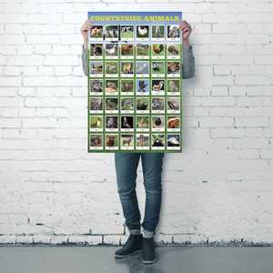 Póster de especies animales nativas para decoración de pared - Product Image 1