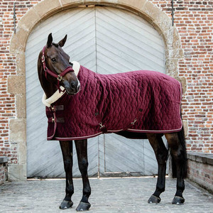 スタイリッシュなソリッドカラー馬カバーブランケットカスタマイズ可能な冬用ケアメッシュキャンバスロゴ通気性防水フリース馬用ラグストラップ - Product Image 2