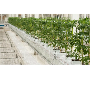 มะพร้าวมะพร้าว pith เติบโตถุง100เปอร์เซ็นต์การเจริญเติบโตตามธรรมชาติสำหรับผักดอกไม้และพืชในร่ม - Product Image 3