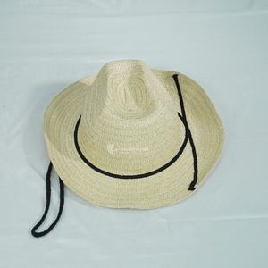 Sombrero de Paja Minimalista para Playa, Ligero y Moderno con Cordón, Ropa Casual de Verano, Suministro al por Mayor 2026 - Product Image 4