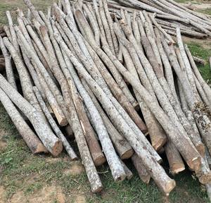 Prêt à l'exportation : Grande quantité de piquets en bois pour la décoration de jardin - Product Image 2