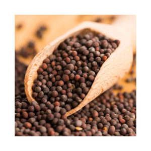 Vente en gros de graines de moutarde de qualité supérieure pour assaisonnement et condiment - Product Image 4