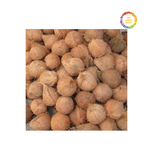 Material de coco orgánico de coco semi descascarillado adecuado para postres y batidos de Vietnam - Product Image 2